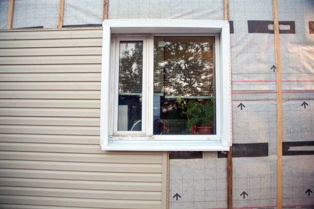 Best Fascia and Soffit Installation  in Twin Falls, ID