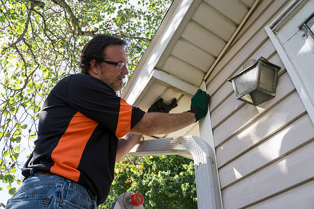 Best Storm Damage Siding Repair  in Twin Falls, ID